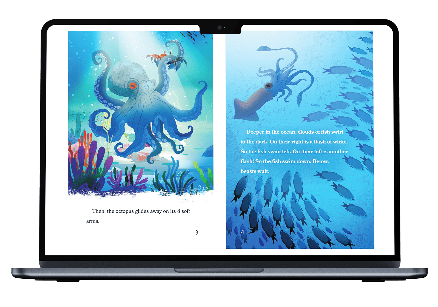 Laptop showcasing Geodes book